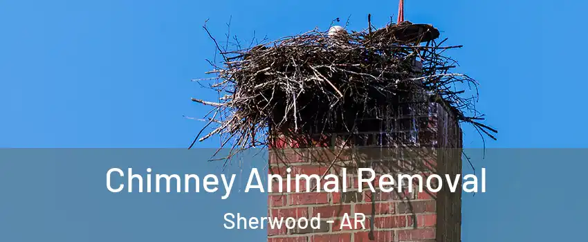 Chimney Animal Removal Sherwood - AR