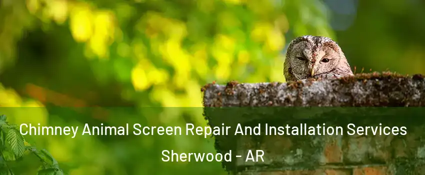 Chimney Animal Screen Repair And Installation Services Sherwood - AR